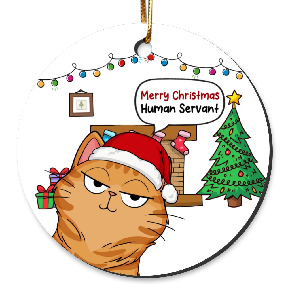 Christmas Fluffy Funny Cats Expressions Merry Christmas Human Servant Personalized Circle Ornament