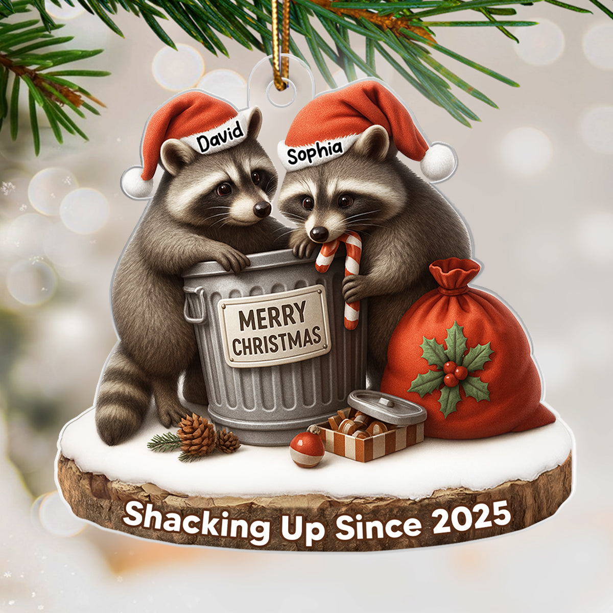 Another Christmas Living in Sin Funny Raccon Couple - Personalized Acrylic Ornament - Christmas Gift for her, Gift for him