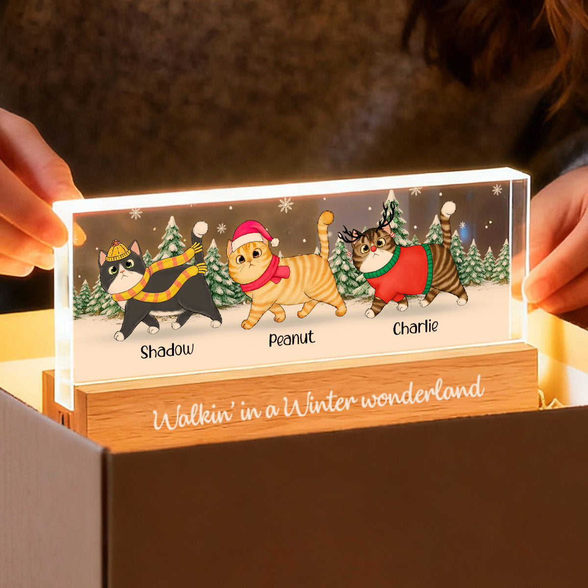 Christmas Cats Walking In A Winter Wonderland - Personalized Acrylic Block Plaque LED Night Light