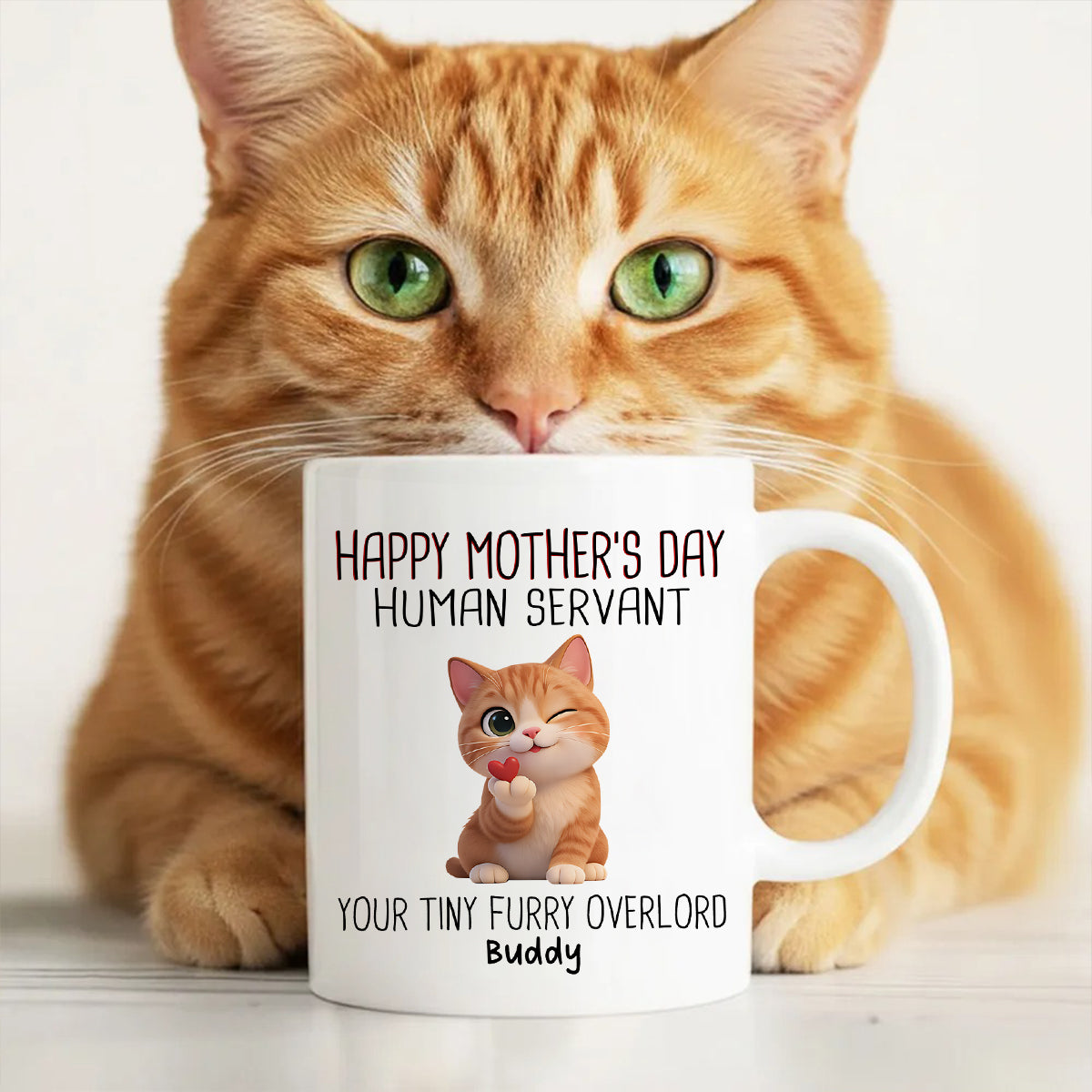 Happy Mother's Day Human Servant from Cute Fluffy Cats - Personalized Mug - Funny Gift for Cat Moms