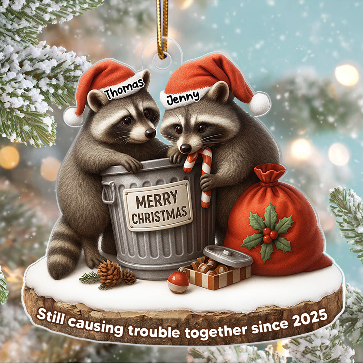 Together Through Trash & Treasure Funny Raccoon Couple - Personalized Acrylic Ornament - Christmas Gift for her, Gift for him