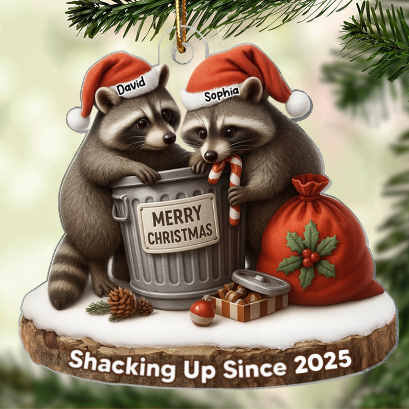 Another Christmas Living in Sin Funny Raccon Couple - Personalized Acrylic Ornament - Christmas Gift for her, Gift for him