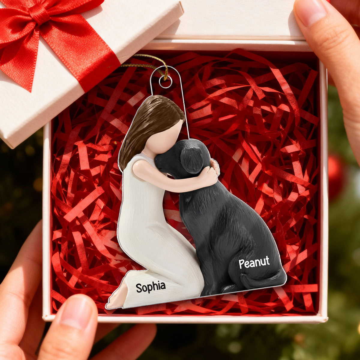 3D Effect Girl & Her Dog My Forever Best Friend - Personalized Acrylic Ornament