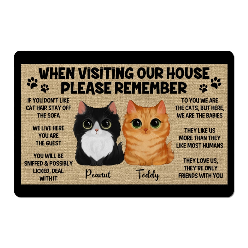 Watercolor Cute Cats Please Remember When Visiting House Personalized Doormat