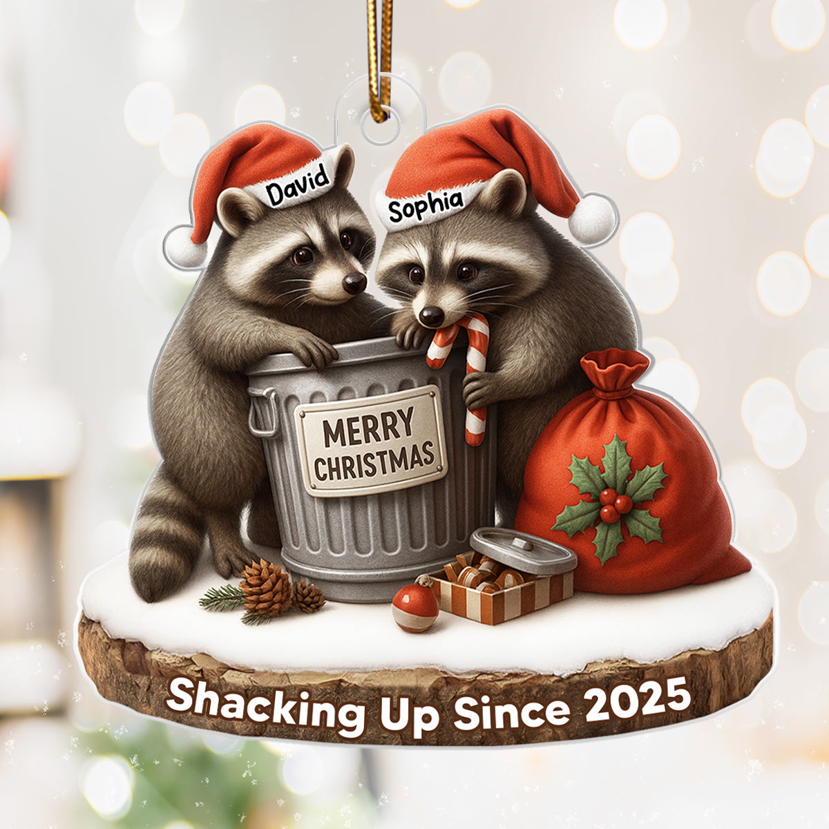 Another Christmas Living in Sin Funny Raccon Couple - Personalized Acrylic Ornament - Christmas Gift for her, Gift for him