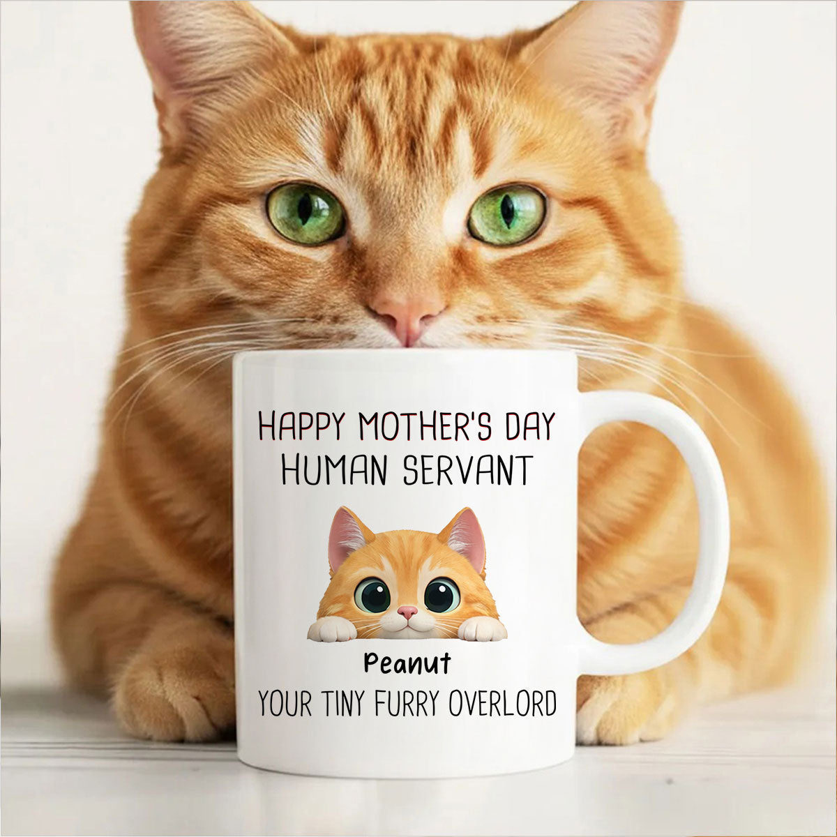 Happy Mother's Day Human Servant - Personalized Mug - Funny Gift for Cat Moms
