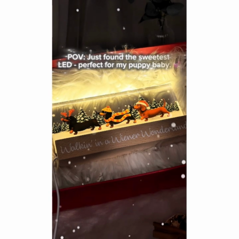Christmas Dachshunds Walking In A Wiener Wonderland - Personalized Acrylic Block Plaque LED Night Light