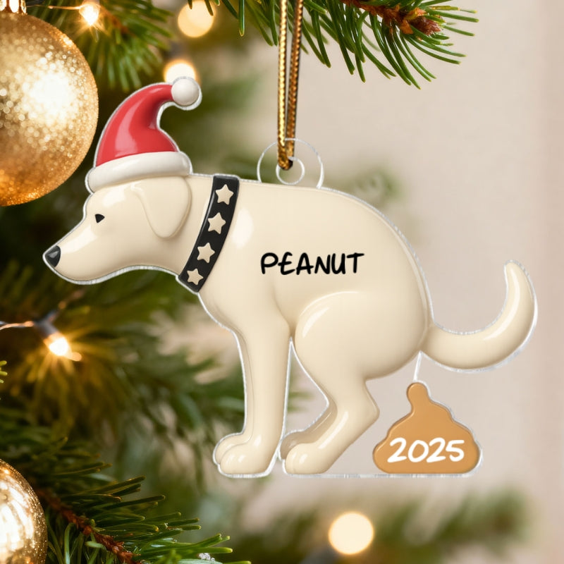 3D Effect Labrador Dog Pooping - Personalized Acrylic Ornament - Funny Christmas Gag Gift, White Elephant Gift