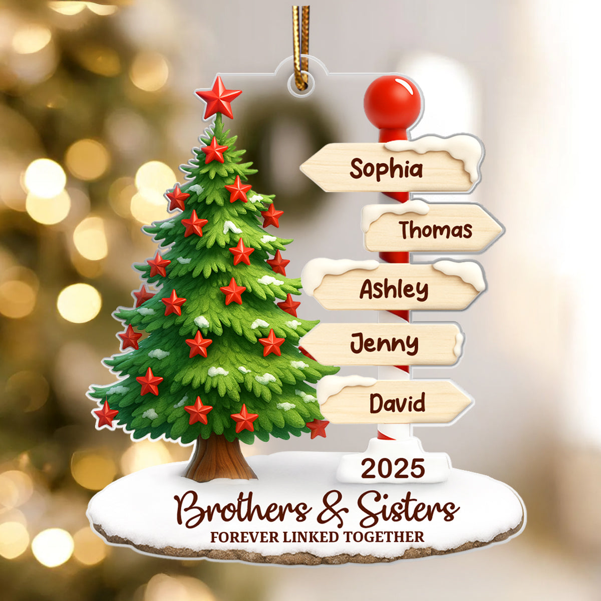 Brothers & Sisters Direction Sign Post - Personalized Acrylic Ornament - Christmas Gift for Siblings