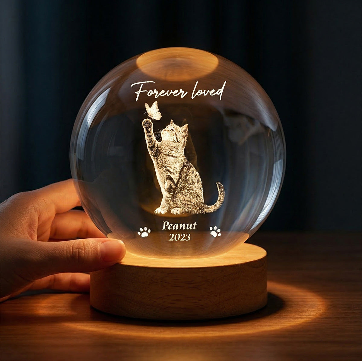 Forever In My Heart Memorial Cat Butterfly - Personalized Crystal Ball LED Night Light - Sympathy Gift For Cat Lovers