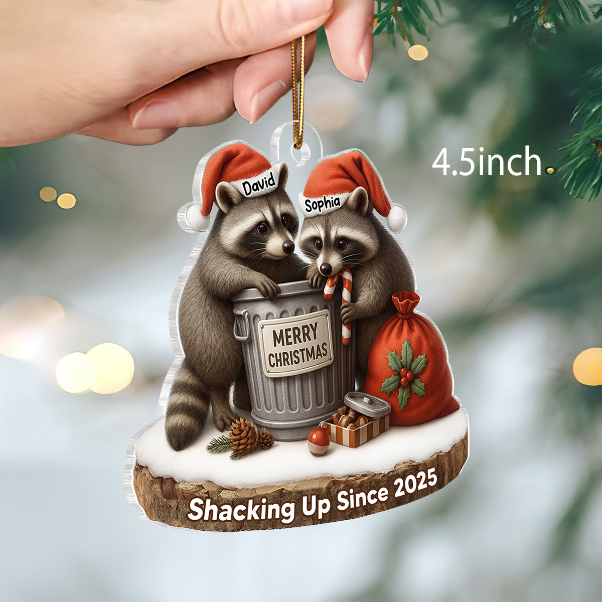 Another Christmas Living in Sin Funny Raccon Couple - Personalized Acrylic Ornament - Christmas Gift for her, Gift for him