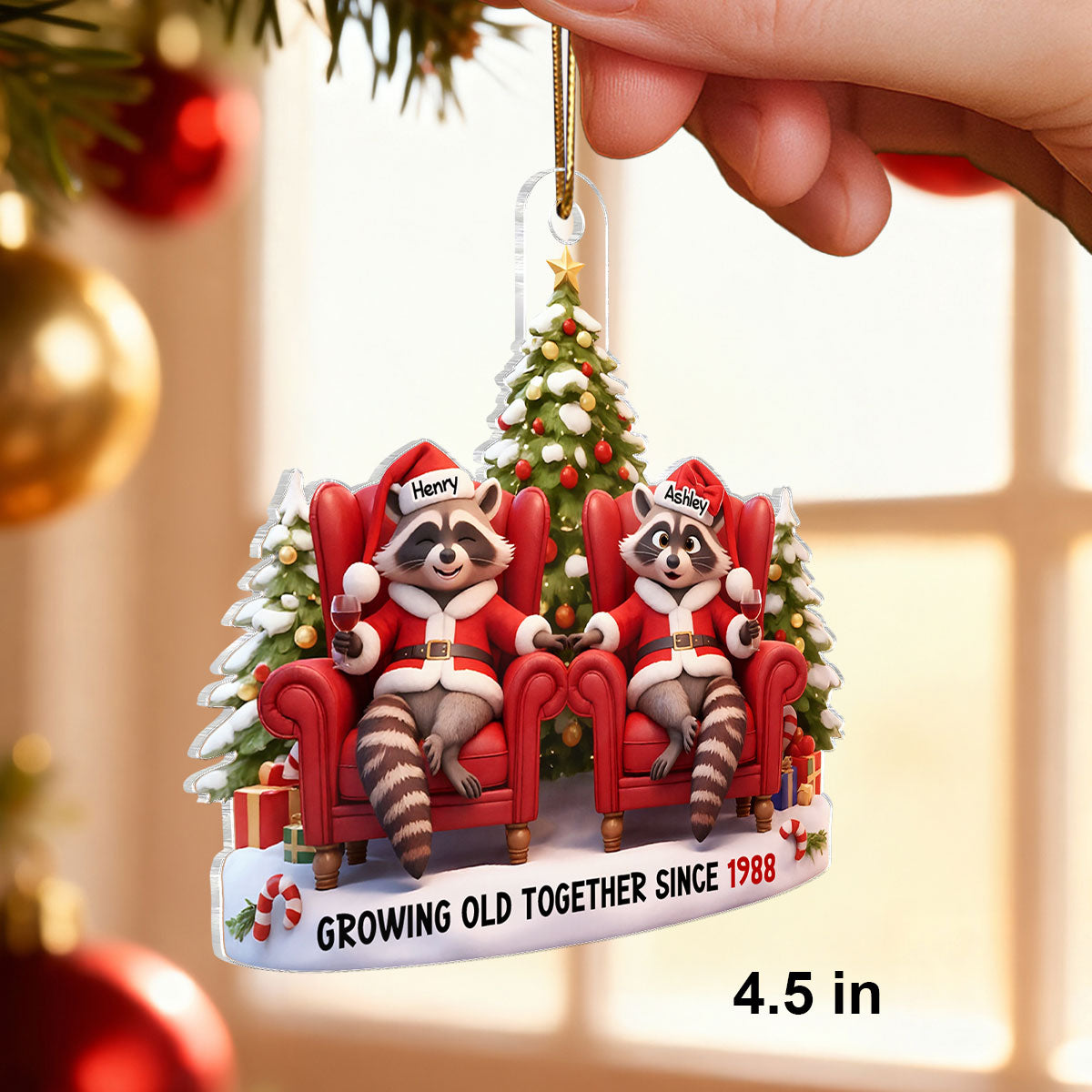 Funny Raccoon Couple Annoying Each Other - Personalized Acrylic Ornament - Christmas Gift for him, Gift for her
