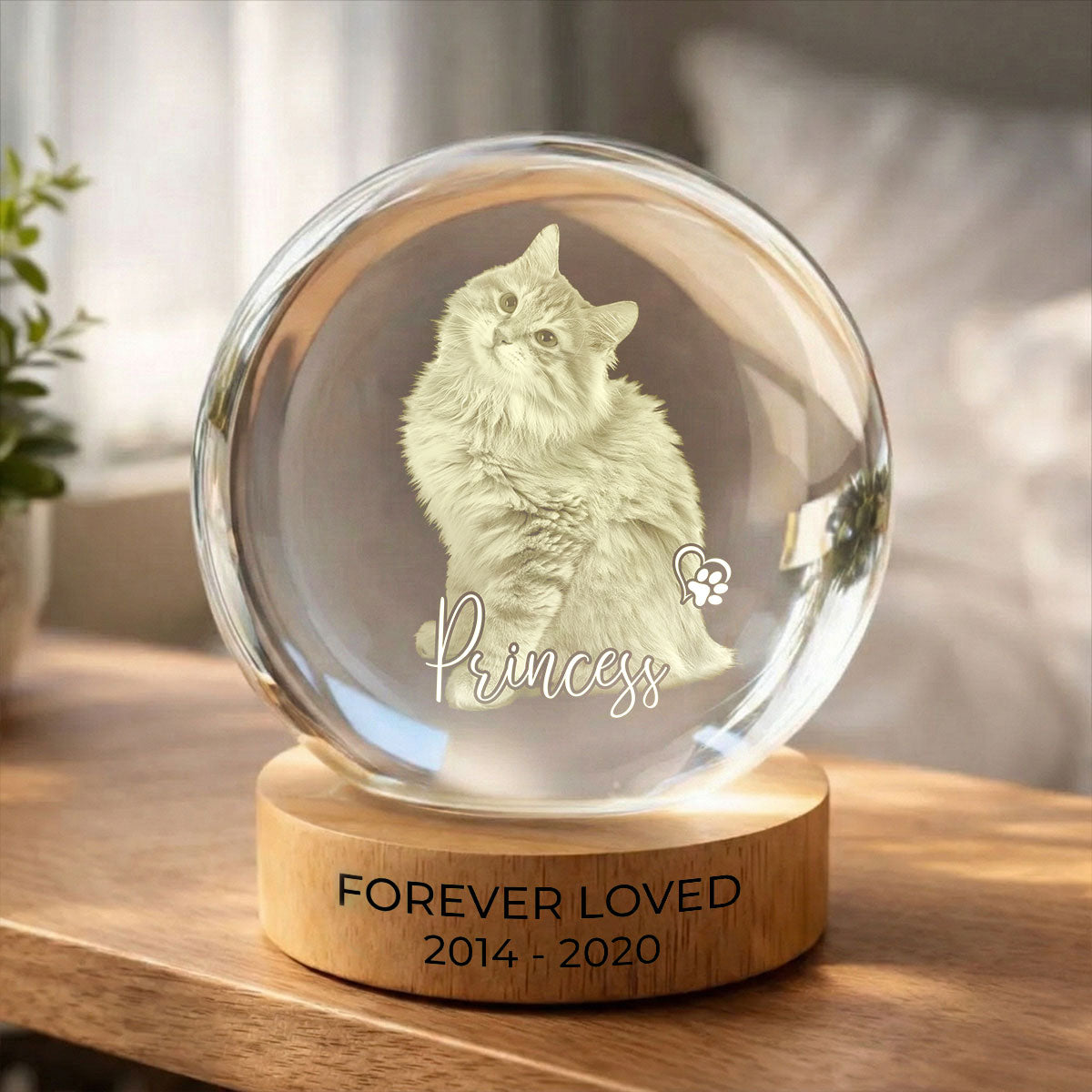 Custom Pet Photo Portrait Memorial - Personalized Crystal Ball LED Night Light - Heartfelt Gift for Pet Lovers, Pet Remembrance