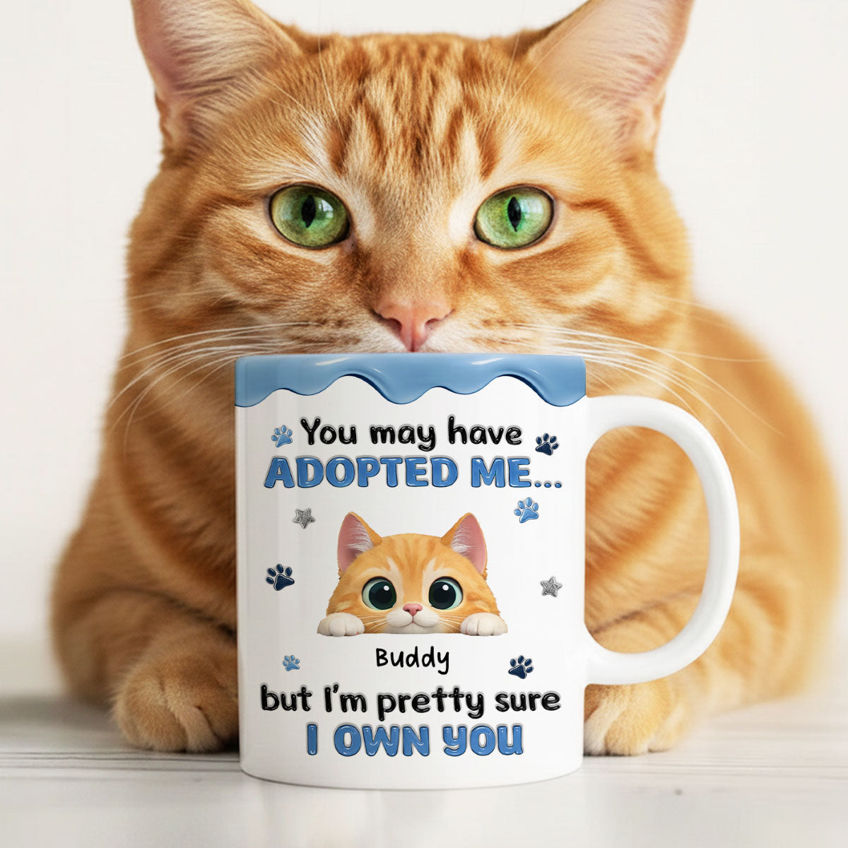 You May Have Adopted Us But We Own You - Personalized Mug - Funny Gift for Cat Moms, Cat Dads