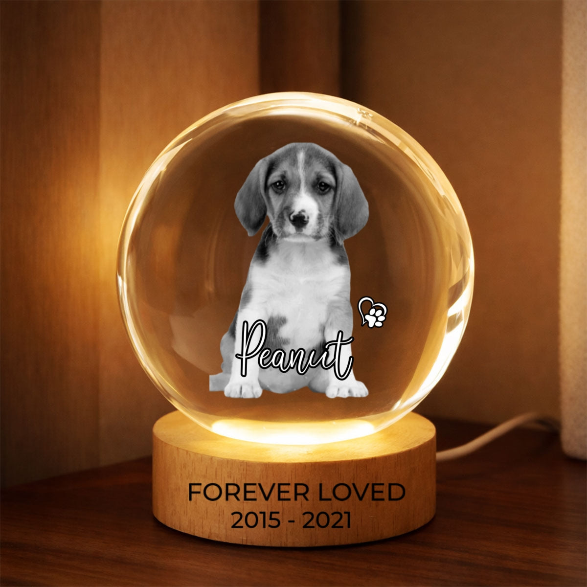 Custom Pet Photo Portrait Memorial - Personalized Crystal Ball LED Night Light - Heartfelt Gift for Pet Lovers, Pet Remembrance