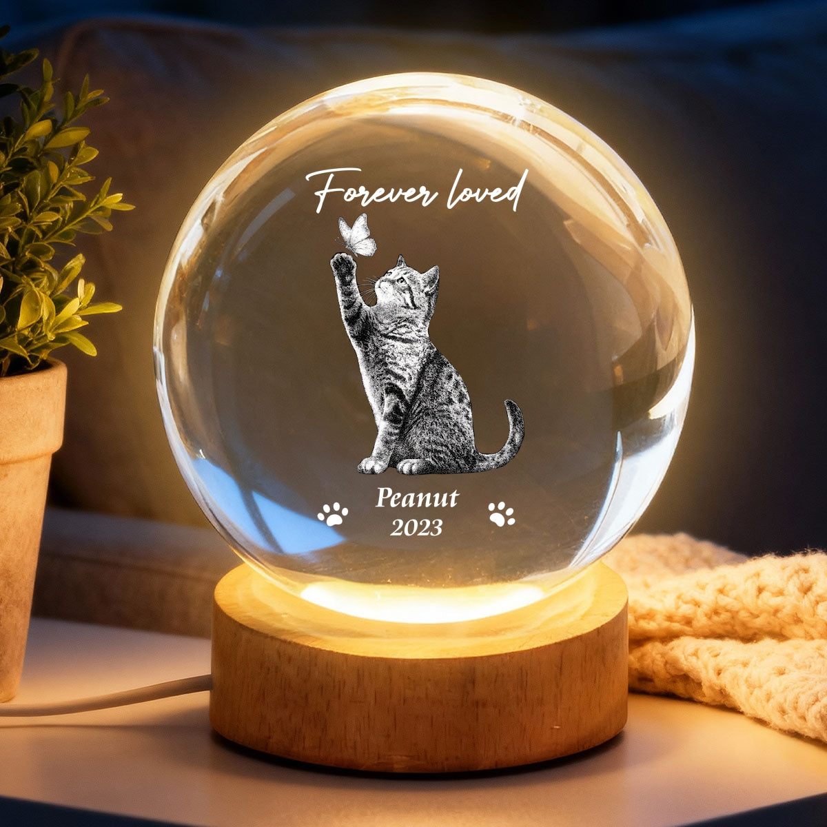 Forever In My Heart Memorial Cat Butterfly - Personalized Crystal Ball LED Night Light - Sympathy Gift For Cat Lovers