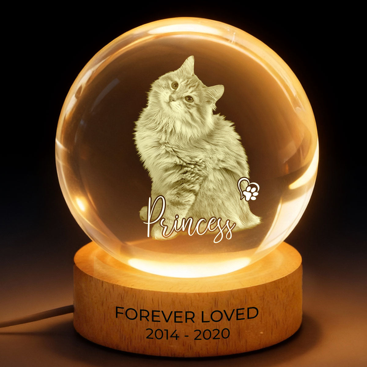 Custom Pet Photo Portrait Memorial - Personalized Crystal Ball LED Night Light - Heartfelt Gift for Pet Lovers, Pet Remembrance