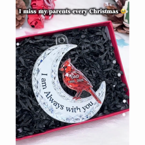 3D Effect Flat Christmas Cardinal On Moon Memorial - Personalized Acrylic Ornament - Remembrance Gift, Sympathy Gift