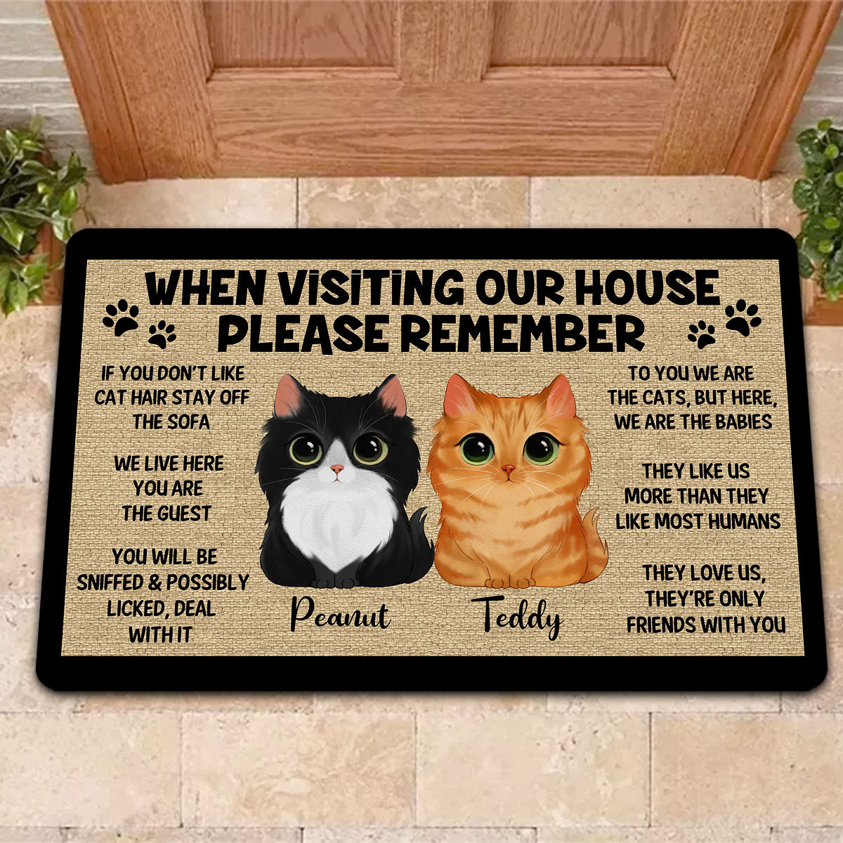 Watercolor Cute Cats Please Remember When Visiting House Personalized Doormat