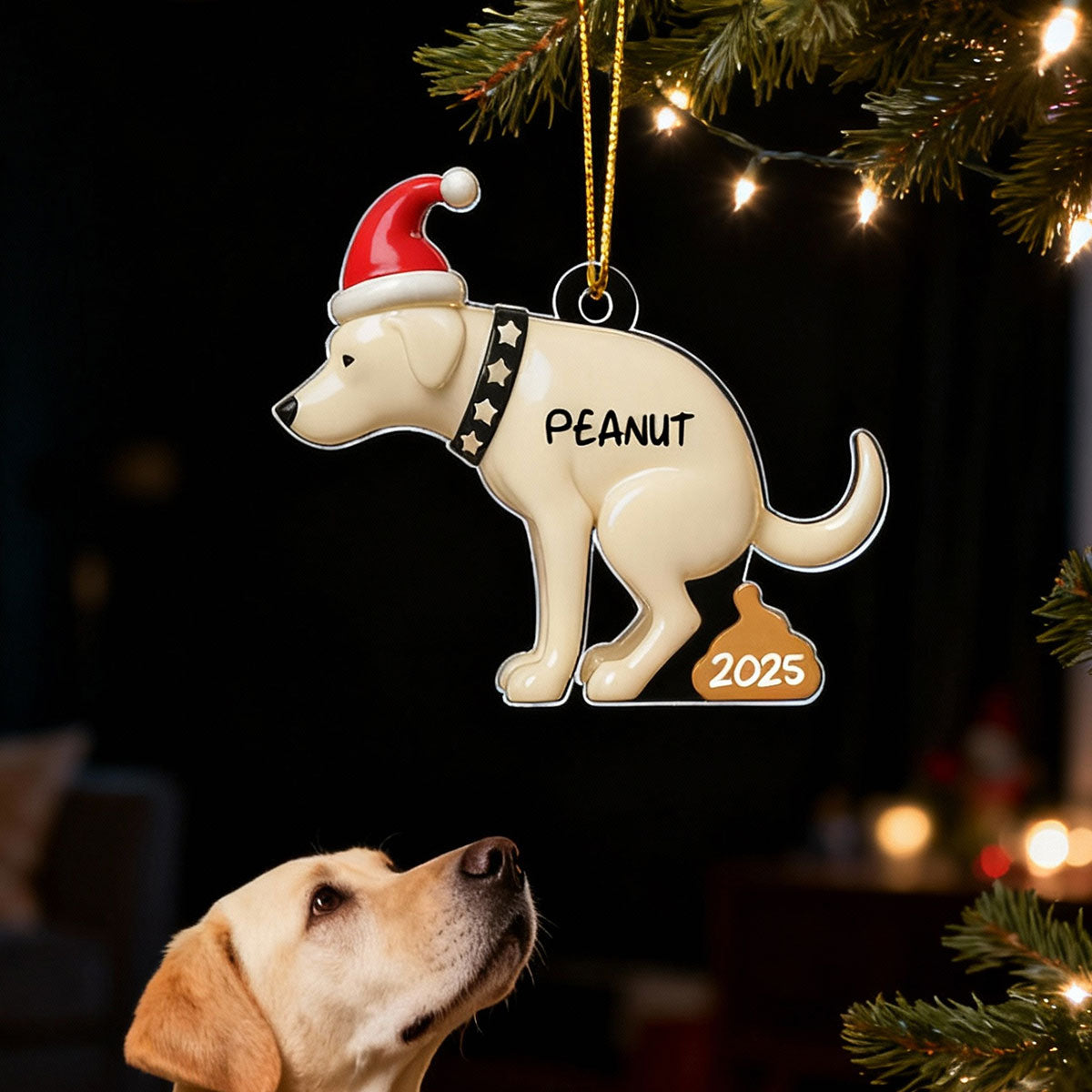 3D Effect Labrador Dog Pooping - Personalized Acrylic Ornament - Funny Christmas Gag Gift, White Elephant Gift