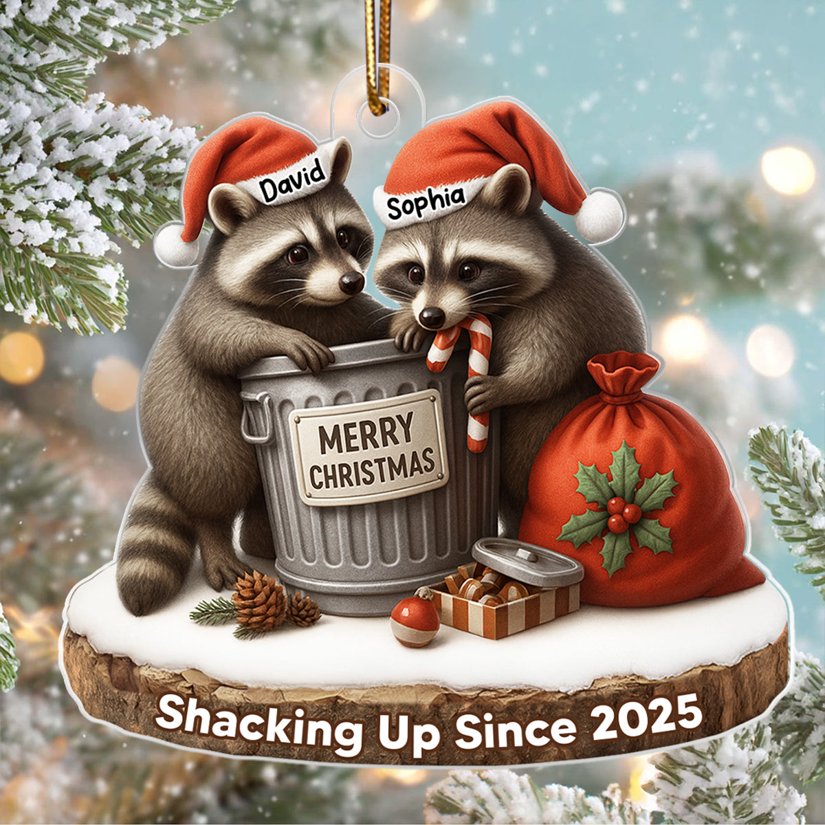 Another Christmas Living in Sin Funny Raccon Couple - Personalized Acrylic Ornament - Christmas Gift for her, Gift for him