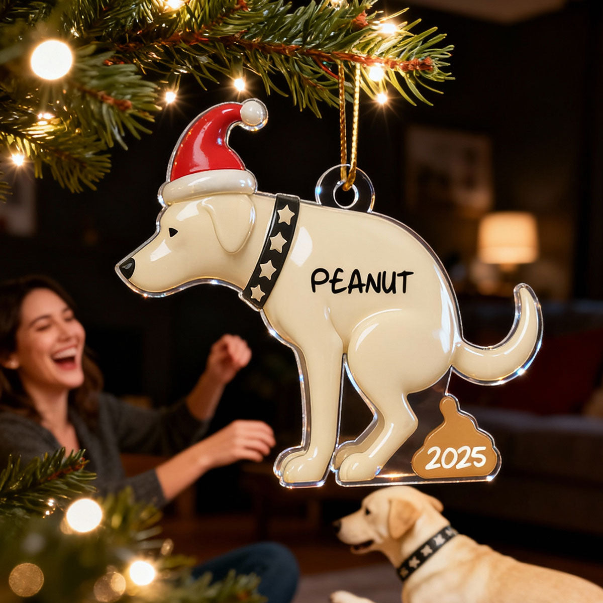 3D Effect Labrador Dog Pooping - Personalized Acrylic Ornament - Funny Christmas Gag Gift, White Elephant Gift