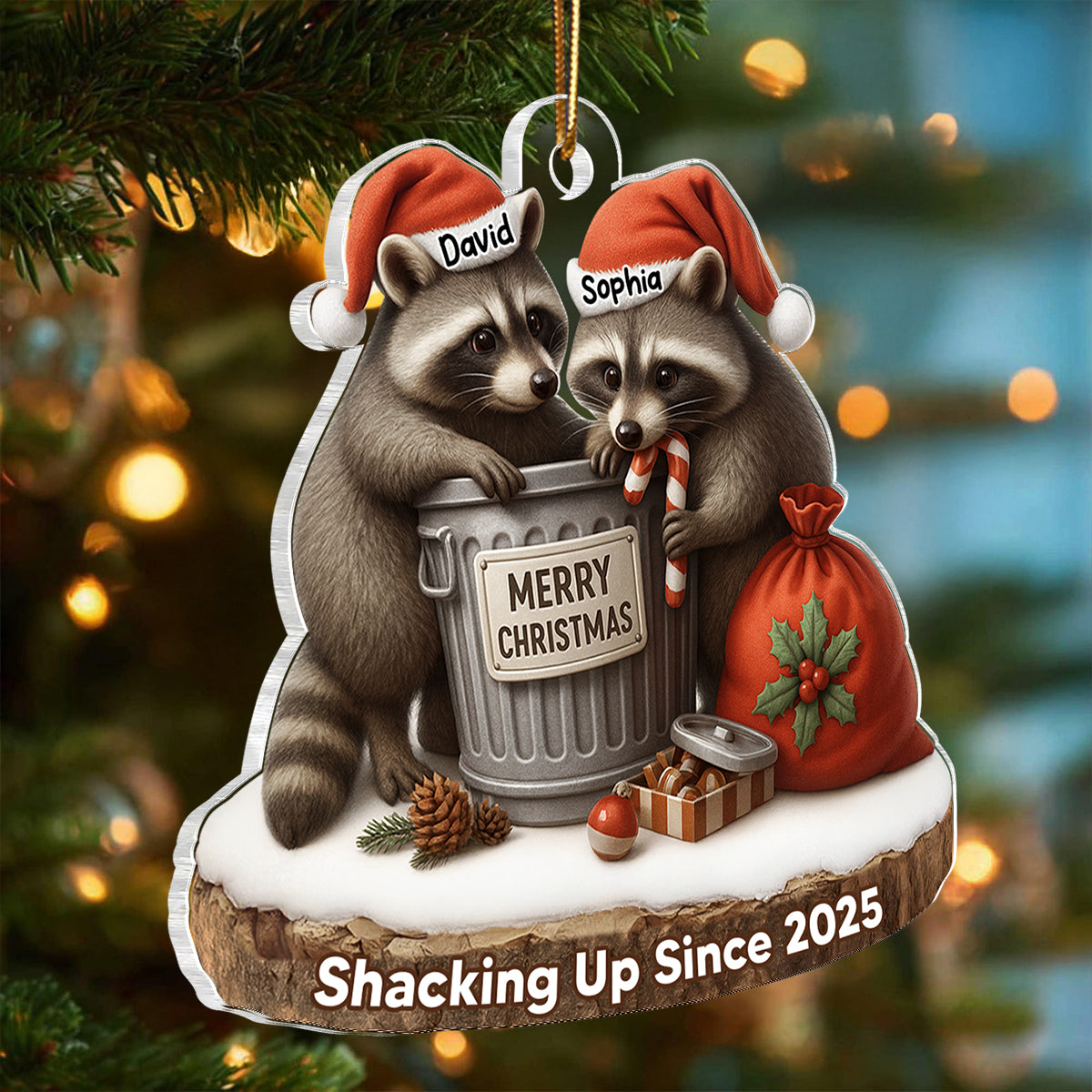 Another Christmas Living in Sin Funny Raccon Couple - Personalized Acrylic Ornament - Christmas Gift for her, Gift for him