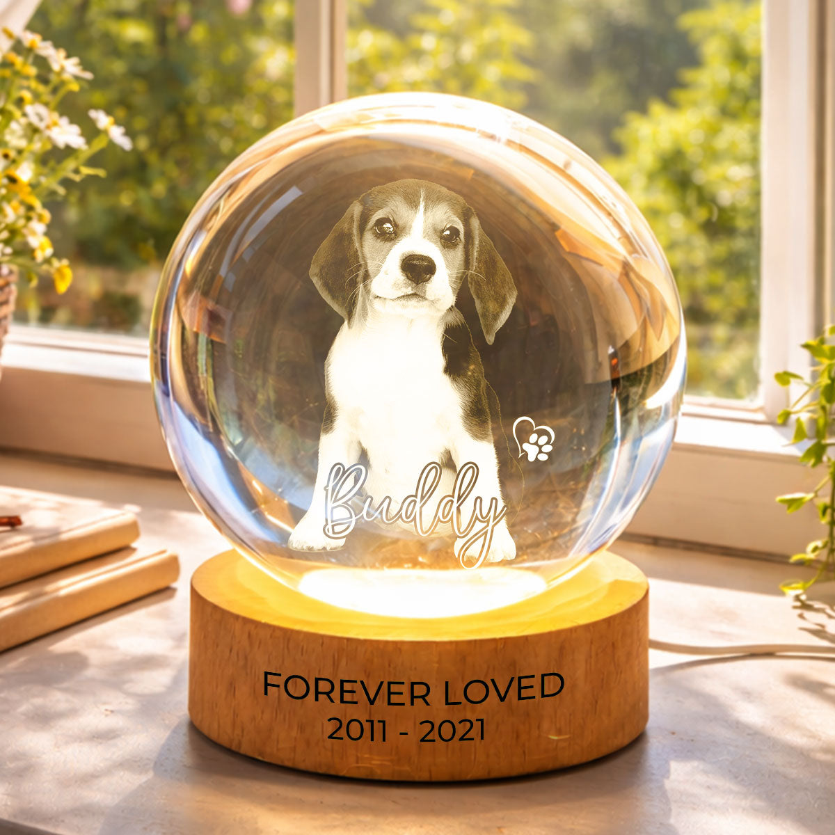 Custom Pet Photo Portrait Memorial - Personalized Crystal Ball LED Night Light - Heartfelt Gift for Pet Lovers, Pet Remembrance