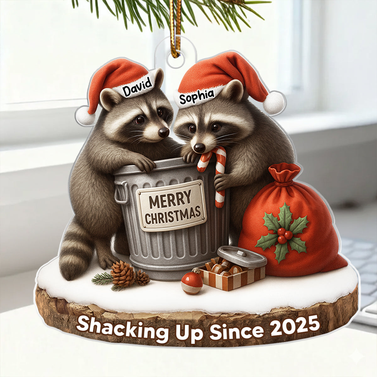 Another Christmas Living in Sin Funny Raccon Couple - Personalized Acrylic Ornament - Christmas Gift for her, Gift for him