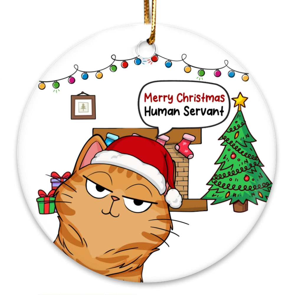 Christmas Fluffy Funny Cats Expressions Merry Christmas Human Servant Personalized Circle Ornament